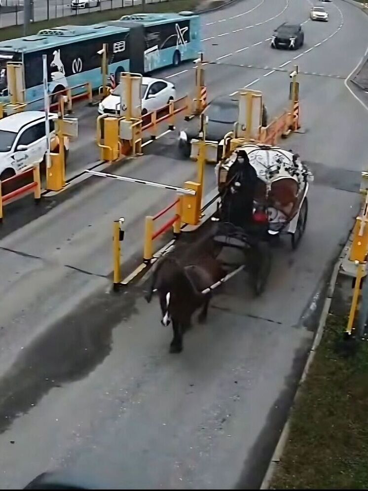 В Пулково приземлилась Золушка