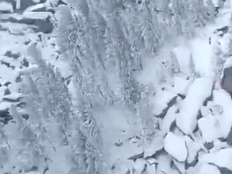 «Йети похитили»: в СК рассказали про невероятные версии пропажи Усольцевых