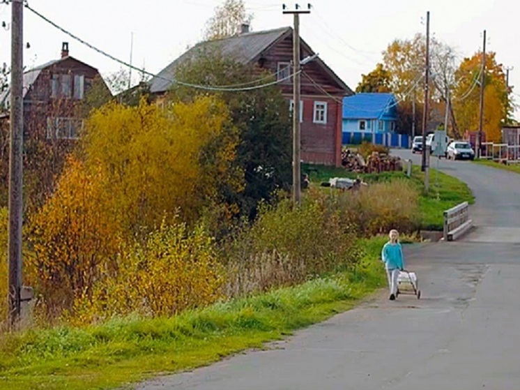 Вепсы могут оформить бесплатный участок земли для пчеловодства или художественных промыслов