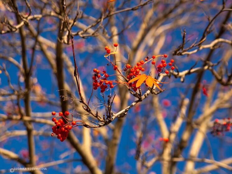 В Карелии ожидается похолодание 7 ноября