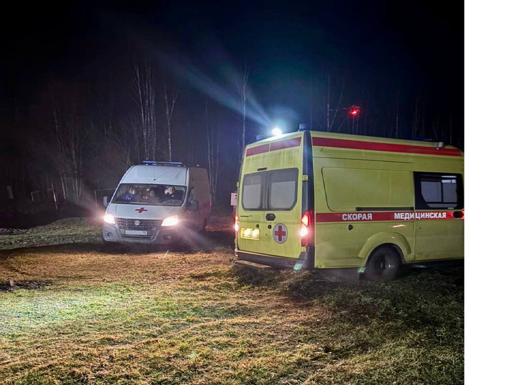 Появились первые снимки с места крушения военного истребителя в Карелии