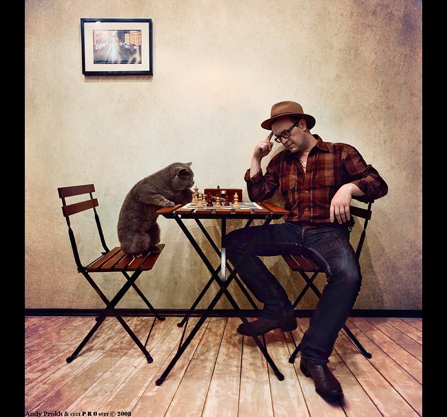 Почему кошке наплевать, что вы ей говорите: Неприглядная правда о кошках