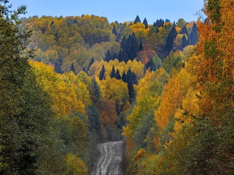 На автодороге «Кола» в Прионежском районе Карелии приостановят движение