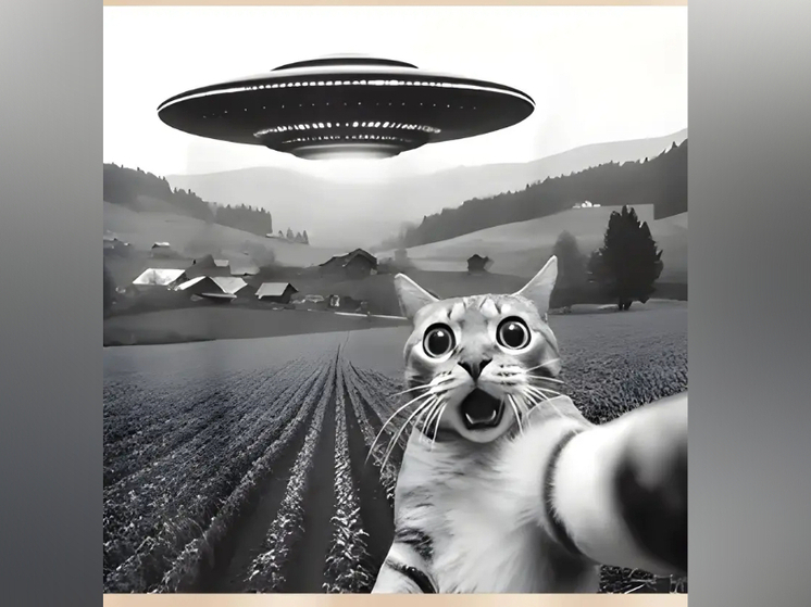 Почему иноагент Борис Гребенщеков не стал бы летать над Петрозаводском, о елелазах и многом другом — в обзоре новостей за пятницу