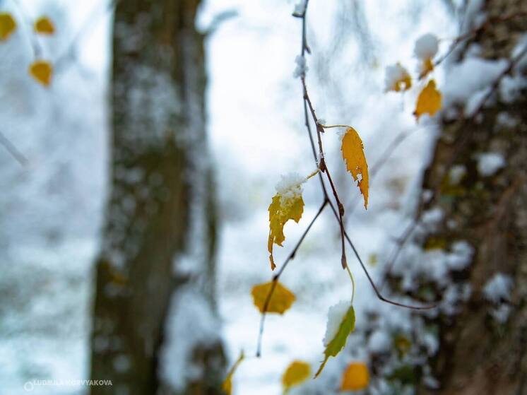 Снег с дождем ожидает жителей Карелии 12 ноября