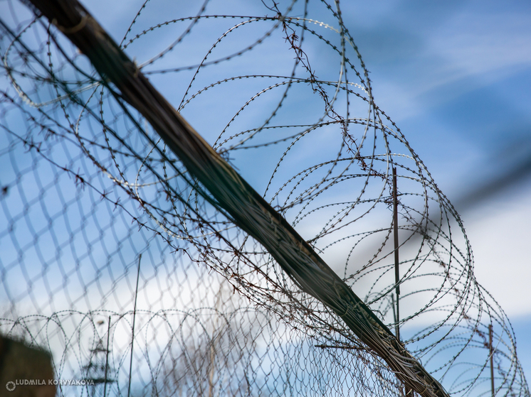 Жительница Карелии приговорена к 14 годам колонии за сотрудничество с украинскими спецслужбами