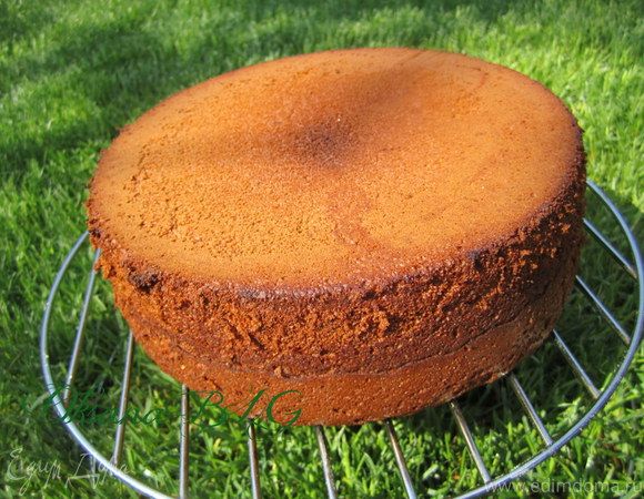 Как приготовить идеальный медовый бисквит на скорую руку: простейший набор продуктов и 5 минут времени