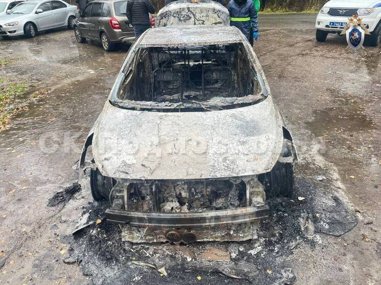 В Подмосковье следователи предъявили обвинение мужчине, сжегшему друга племянницы