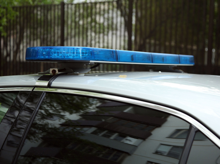 Женщина, убившая 6-летнего сына, ранее высказывала суицидальные мысли