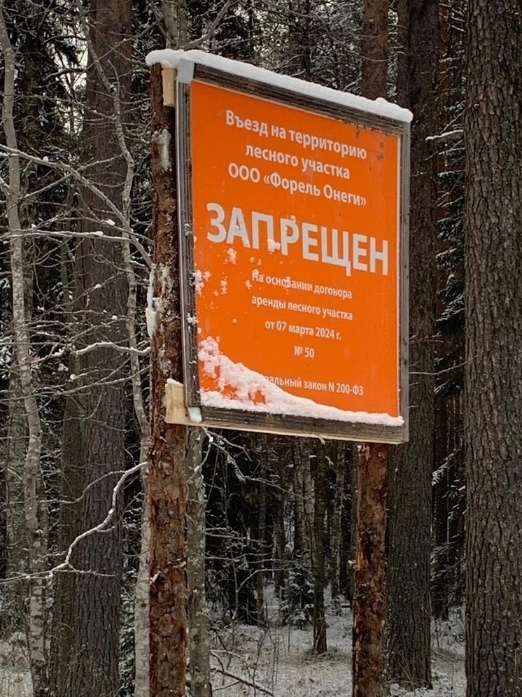 Жители Кондопожского района рассказали об ограничениях выхода в лес