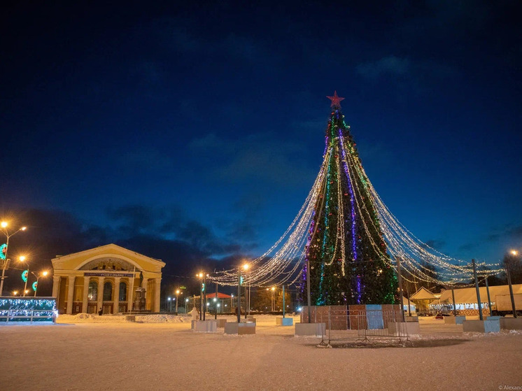 Елка засияет на главной площади карельской столицы уже в самом начале декабря