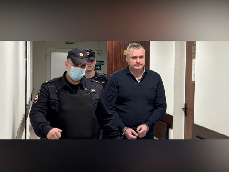 Бывший зам главы Министерства имущественных и земельных отношений Карелии, обвиняемый в коррупции, остается под стражей