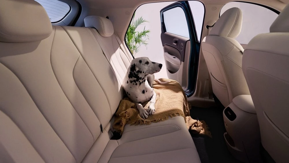 Кроссовер Ora 5 от GWM вышел в предзаказ. Как оснащается и сколько стоит новинка