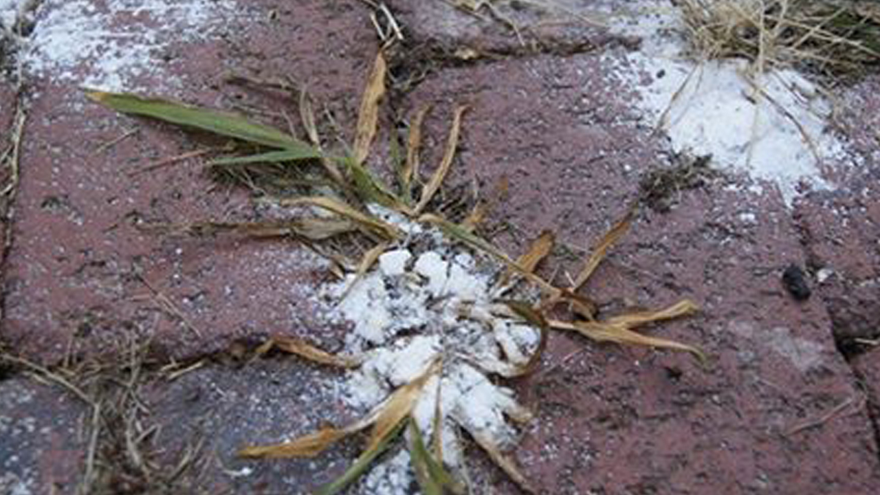 Всегда вырывала сорняки руками, пока соседка по даче не посоветовала это средство… Легко и надолго!