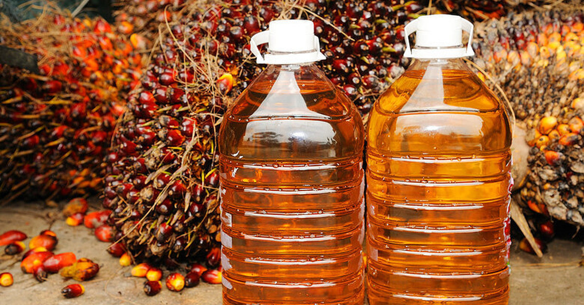 Откуда берутся «фейки» о вреде пальмы