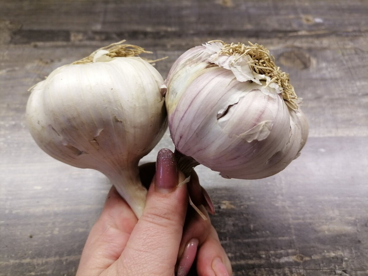 Неординарный и броский маникюр: 15 ультрамодных идей