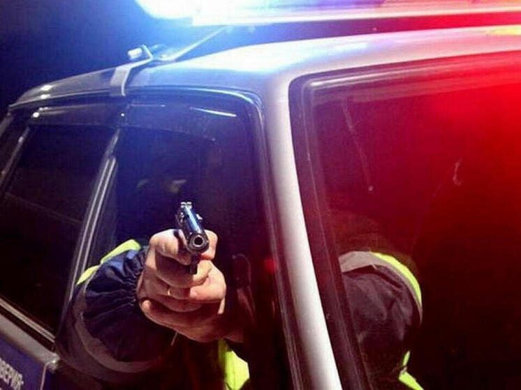 Нетрезвого водителя в Петрозаводске задерживали с применением оружия