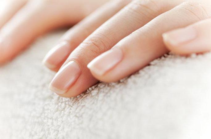 Форма ногтей и их название: описание и разновидности