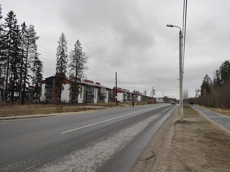 Администрация Петрозаводска добилась оформления права собственности на 9 не имеющих владельца дорог