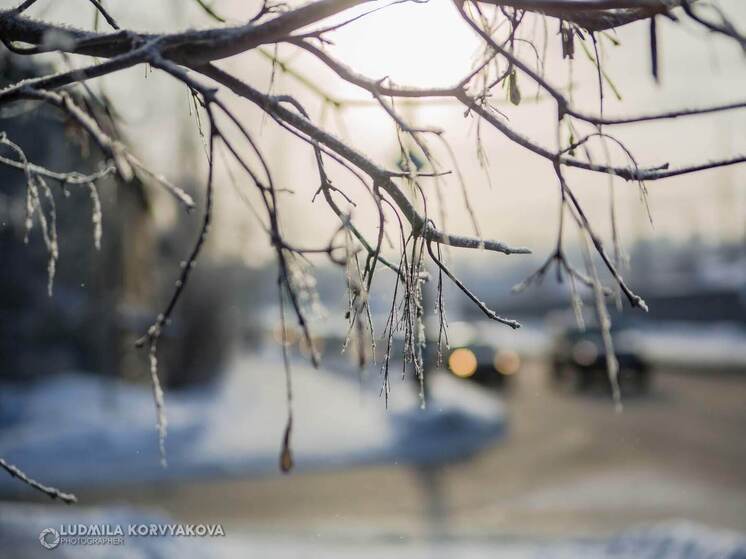 Тепло и ветрено будет в Карелии 5 декабря