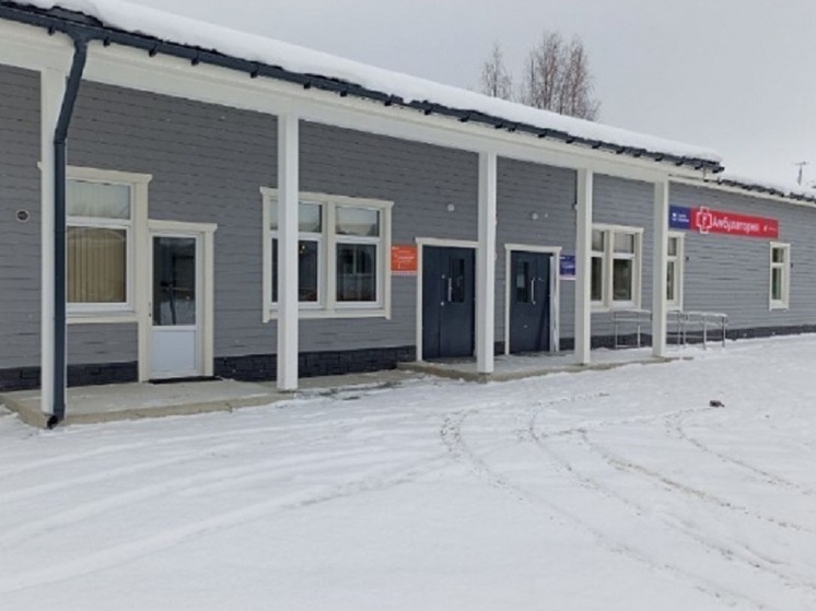 В посёлке Мелиоративный открыли новую амбулаторию