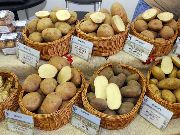 Сколько будет стоить картошка по весне: эксперты дали ответ