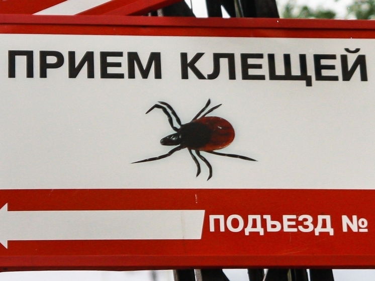 Российские эксперты предупредили о ранней активности клещей