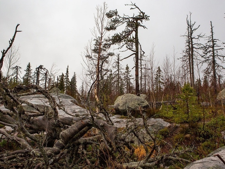 С 1 марта вход в национальный парк «Воттоваара» станет платным