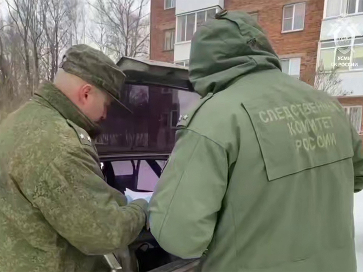 Случай в Смоленске не первый: самые громкие похищения детей в России