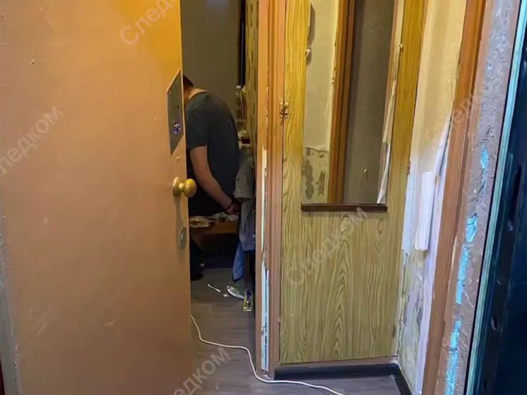 Надеялся на выкуп: похититель девочки в Смоленске объяснил свои действия