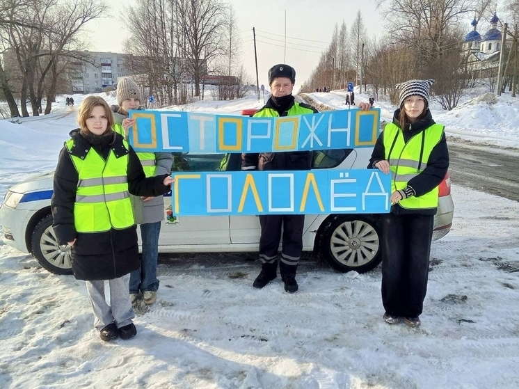В Пудоже прошла акция «Осторожно, гололёд!»