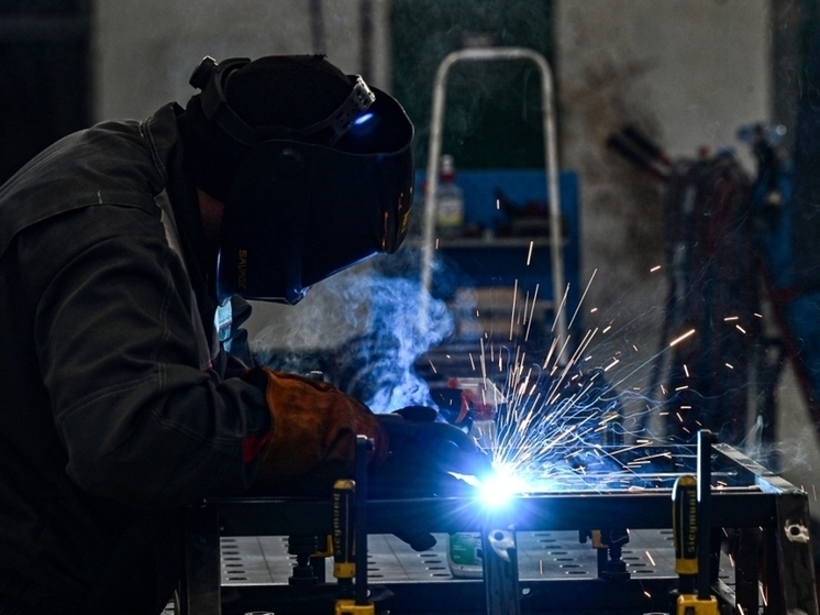 В Карелии подготовили список самых востребованных профессий до 2032 года