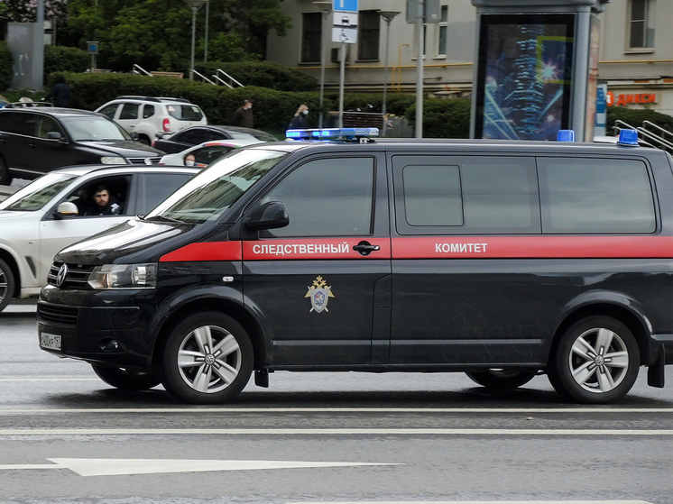 Пырнул ножом в день рождения: детали нападения на женщину в Москве