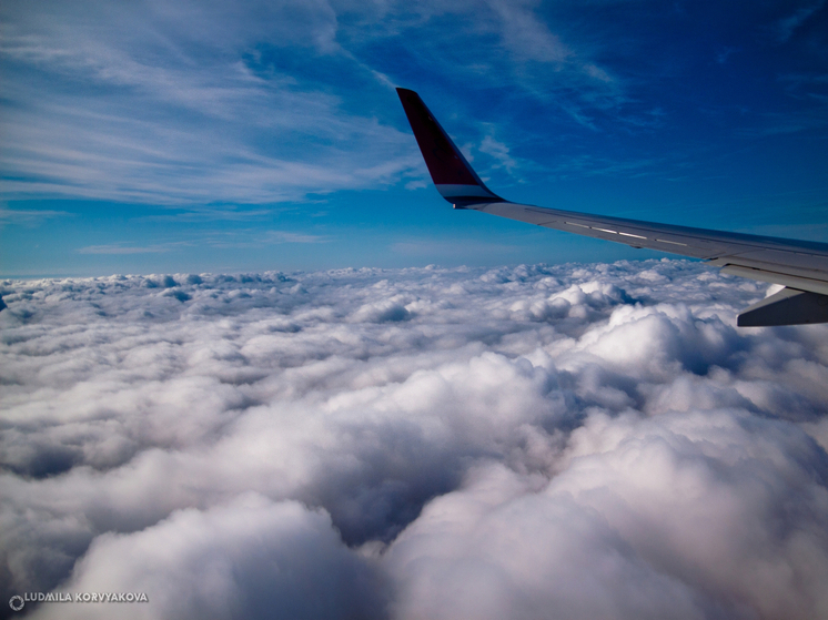 В самолетах с 1 марта разрешили бесплатно перевозить детские коляски, ходунки и костыли