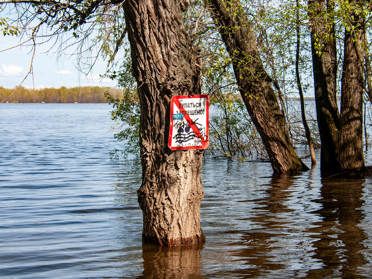 Вода пойдет вспять: Мордовия готовится к аномальному паводку