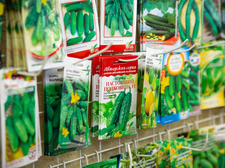 Карельским семьям, попавшим в тяжелую ситуацию, бесплатно раздадут семена для огорода