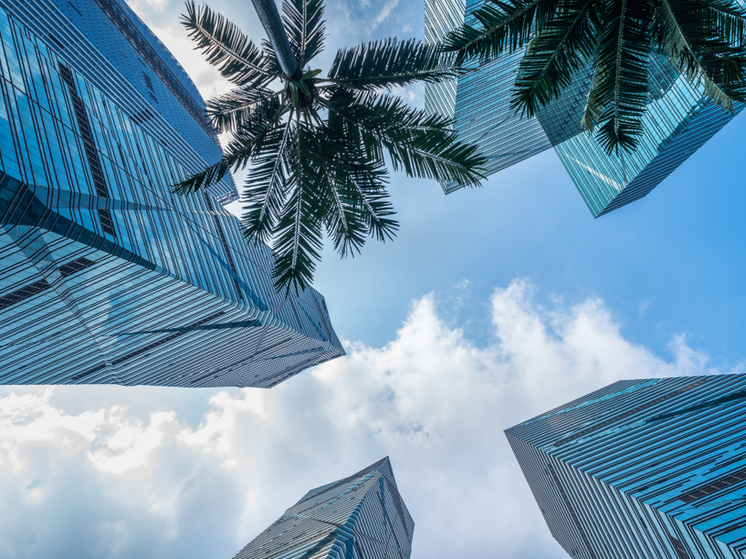 Вывоз российских туристов из ОАЭ полностью завершен