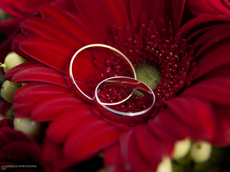 Госдума упростила правила для оформления двойной фамилии у супругов