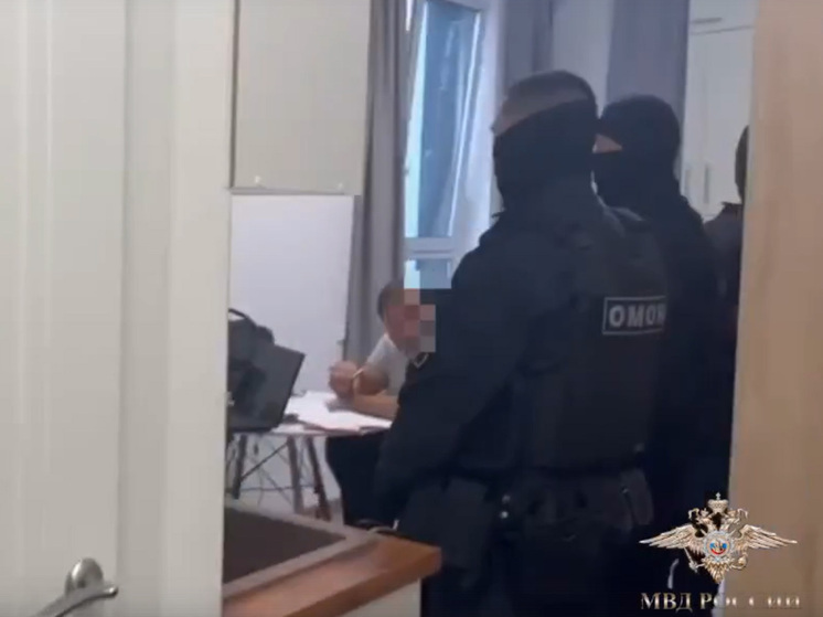 Выяснились детали аферы с модельным агентством: пострадали гимнастка и студент