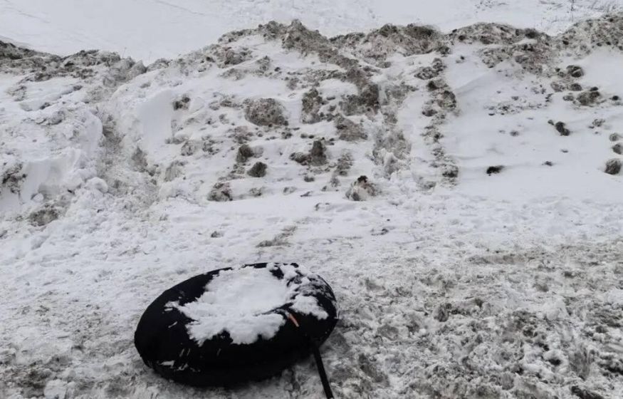 «Снег идёт — катастрофа! Тает — трагедия! Дети — сюрприз»: в Госдуме озвучили проблемы России