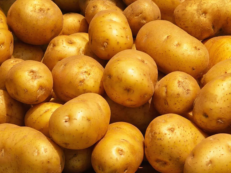 Россия стала третьей по дешевизне картошки в G-20: считать ли это достижением