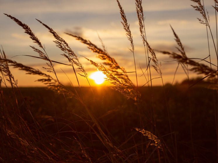 Учёный предупредили, что Солнце может спровоцировать новый ледниковый период