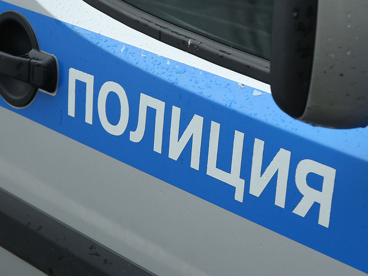 Наркоманка выпрыгнула из окна здания отдела полиции в Подмосковье