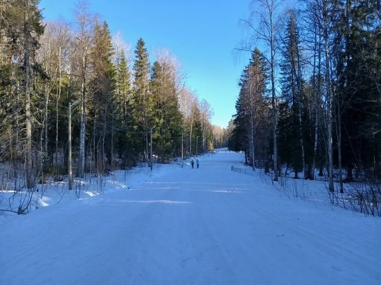 В Петрозаводске началось голосование за талисман лыжного фестиваля «Фонтаны» 2027 года