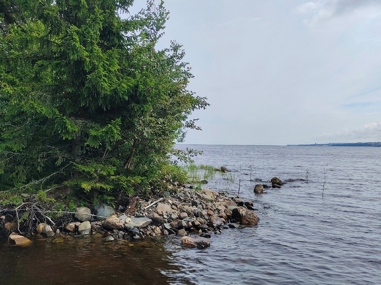 В Карелии появится туристическая база «На слоне» в деревне Мережнаволок