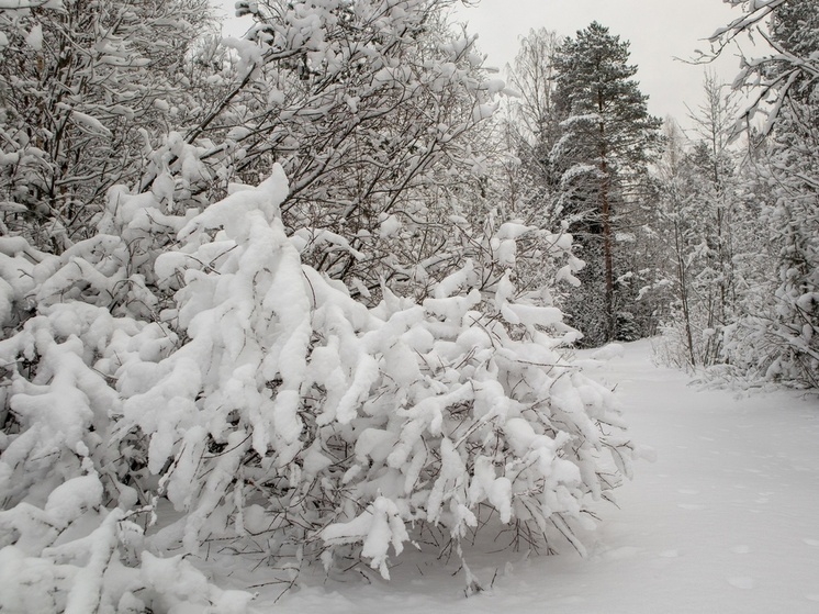 Мокрый снег ожидается в Карелии 9 марта