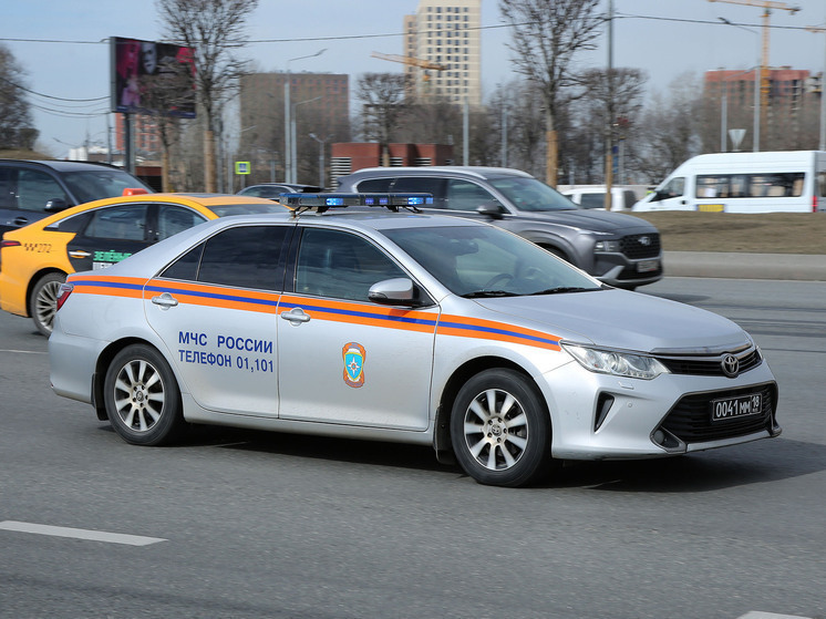 Поиски пропавшей девочки в Звенигороде: хронология трагедии и последние данные