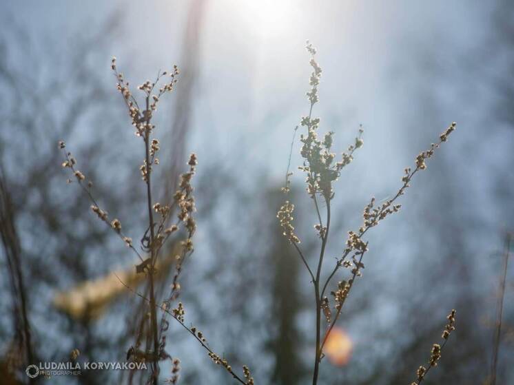 Воздух в Карелии 20 марта прогреется до +9°С