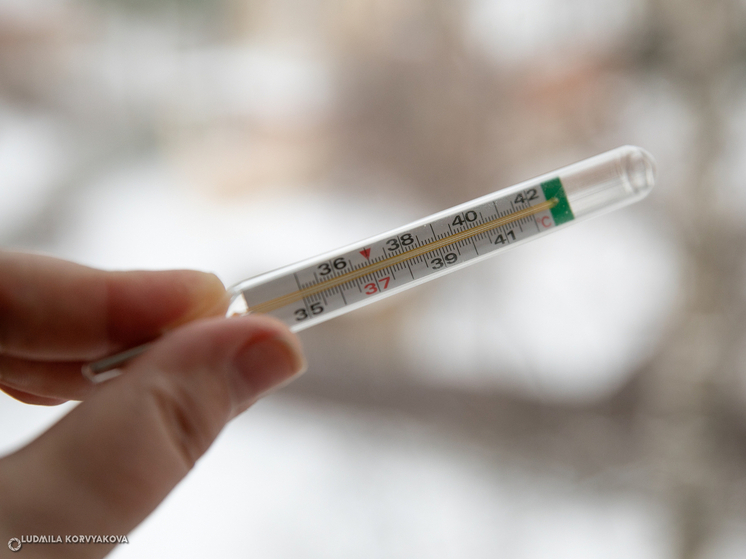 В Карелии снова выросла заболеваемость ОРВИ и гриппом