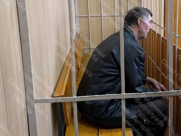 В Санкт-Петербурге вынесли решение по делу пенсионера, расчленившего жительницу Карелии (18+)